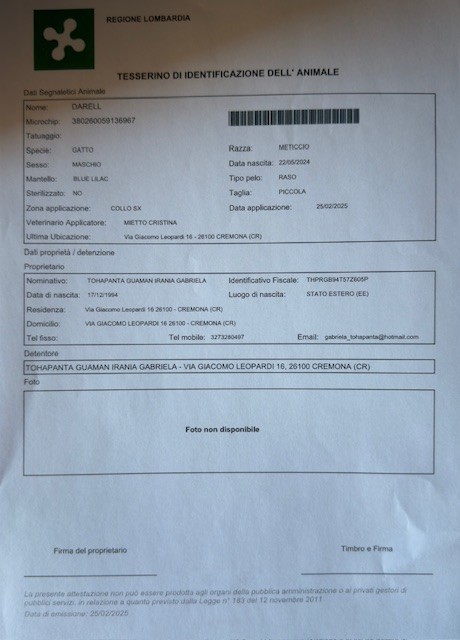 Documento Gatto Smarrito