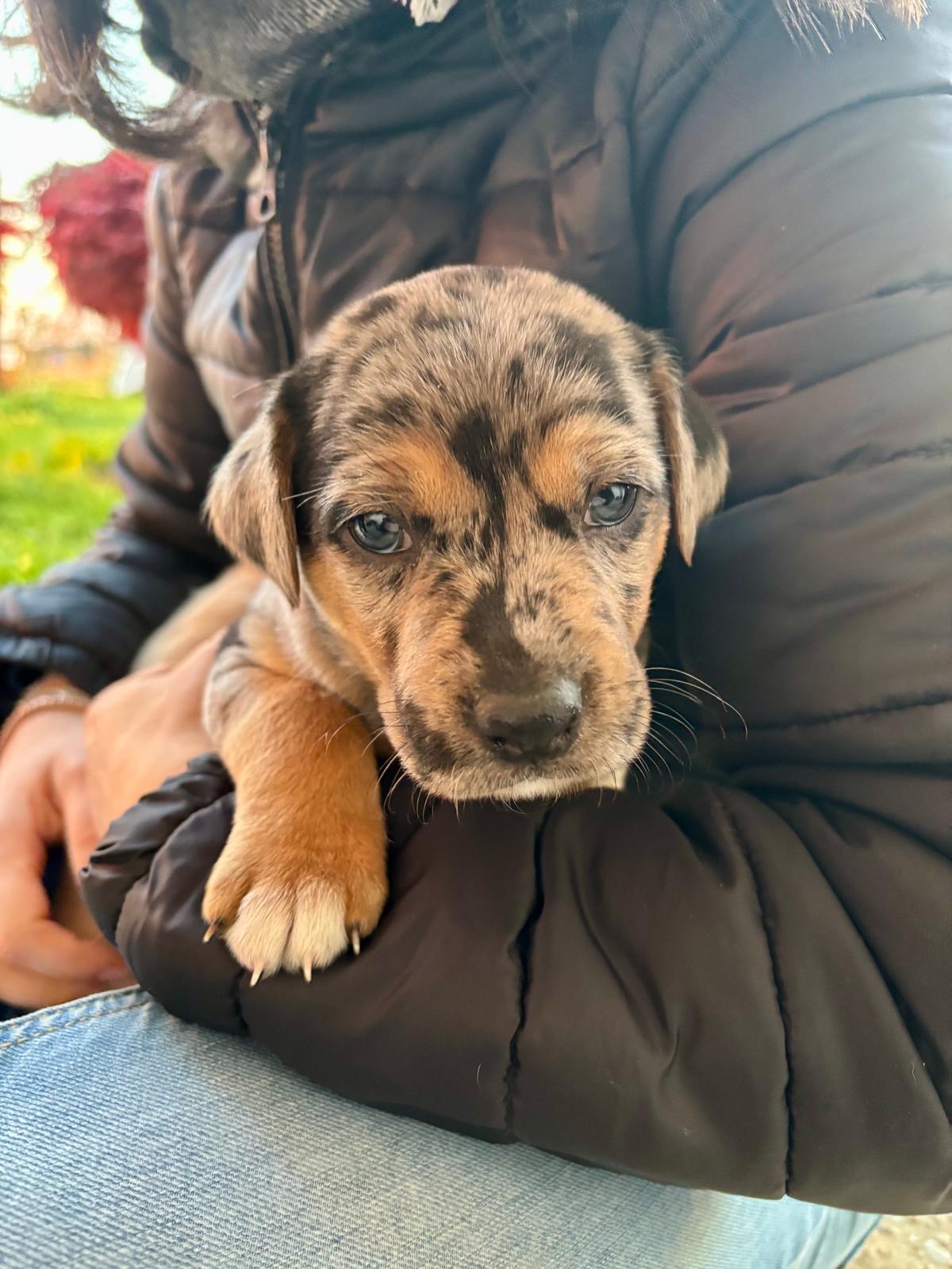 769e39fb a7da 4a04 997b 3bcaa2562e78