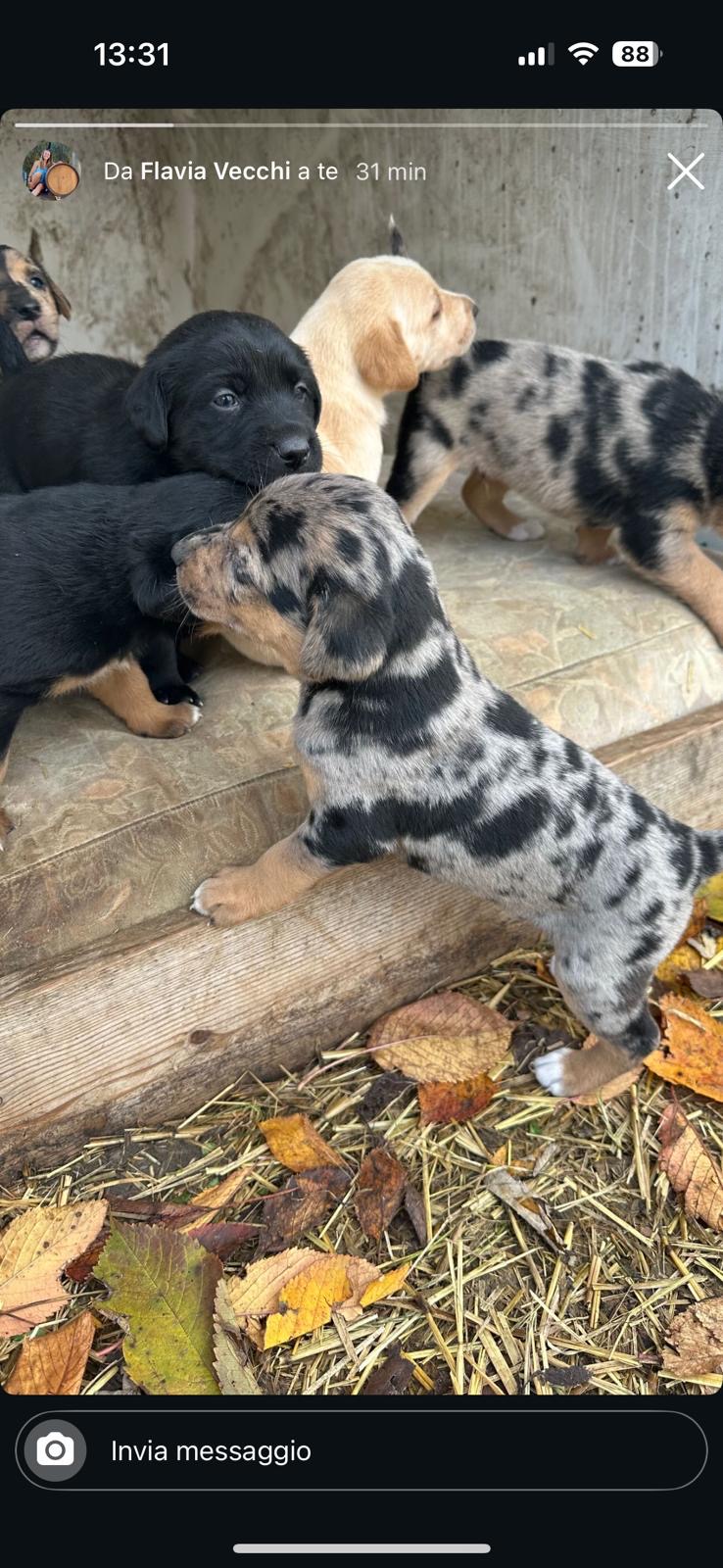 bff37b51 2bd0 4562 b5a0 5b72789626c7